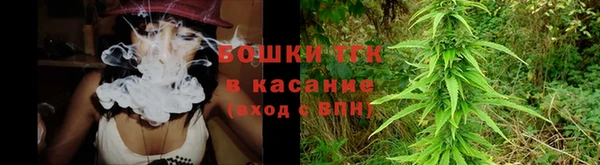 сатива Осинники
