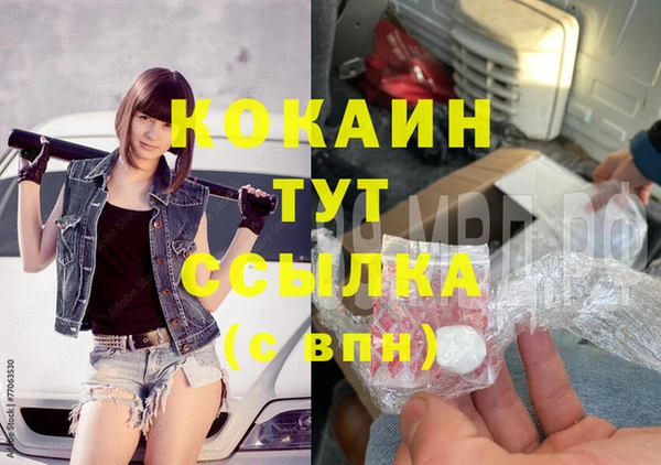 сатива Осинники
