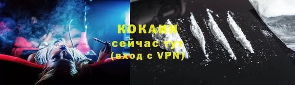 сатива Осинники
