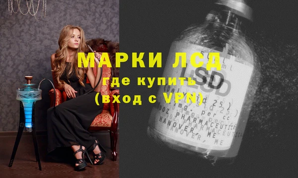 сатива Осинники