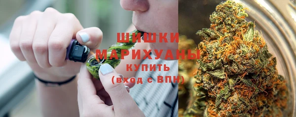 сатива Осинники