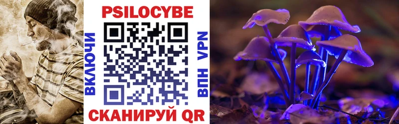 купить наркоту  OMG маркетплейс  Псилоцибиновые грибы GOLDEN TEACHER  Андреаполь 